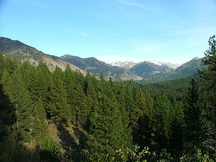 muntanya, rang, vista, escènic, bosc, idaho, dents de serra, bellesa a la natura, escenics - natura, arbre, planta, escena tranquil·la, tranquil·litat, color verd, cel, paisatge, medi ambient, creixement, escena no urbana, cap gent, naturalesa, terra, dia, fullatge, idíl·lic, Serra, a l'aire lliure, arbre de coníferes, 2K, CC0, domini públic, lliure de regalies