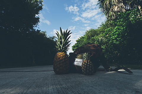 motxilla, bossa, camuflatge, núvols, concret, fruita, saludable, paisatge, fulles, Camí, paviment, pinyes, cel, arbres, tropical, manera, planta, naturalesa, arbre, creixement, dia, taula, cap gent, planta en test, menjar i beguda, frescor, menjar, contenidor, a l'aire lliure, assegut, alimentació saludable, material de fusta, natura morta, 5K, CC0, domini públic, lliure de regalies