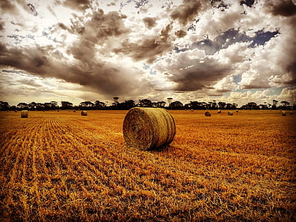 Bauernhof, Heuhaufen, Natur, Feld, Landschaft, Land, wolke - himmel, Landwirtschaft, Umgebung, ländliche Szene, Pflanze, Ballen, ruhige Szene, Himmel, Heu, Ruhe, Schönheit in der Natur, Szenen - Natur, Ernte, keine Leute, aufgerollt, 4K, CC0, gemeinfrei, lizenzfrei