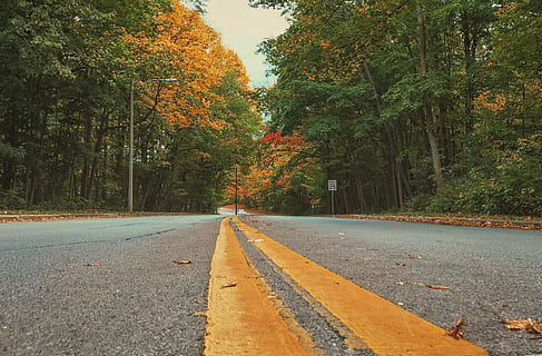 Wicklung, Straße, fallen, führend, Winter, Beton, Wald, Linie, gelbe Linie, Baum, Herbst, Zeichen, Straßenbäume fallen orange Strickjackewetter Wisconsin-Herbst, Pflanze, Richtung, der Weg nach vorn, die Straßenmarkierung, Transport, Symbol, Markierung, Veränderung, Tag, keine Leute, Natur, abnehmende Perspektive, orange Farbe, doppelte gelbe Linie, Asphalt, Wachstum, draußen, Trennlinie, 4K, CC0, gemeinfrei, lizenzfrei