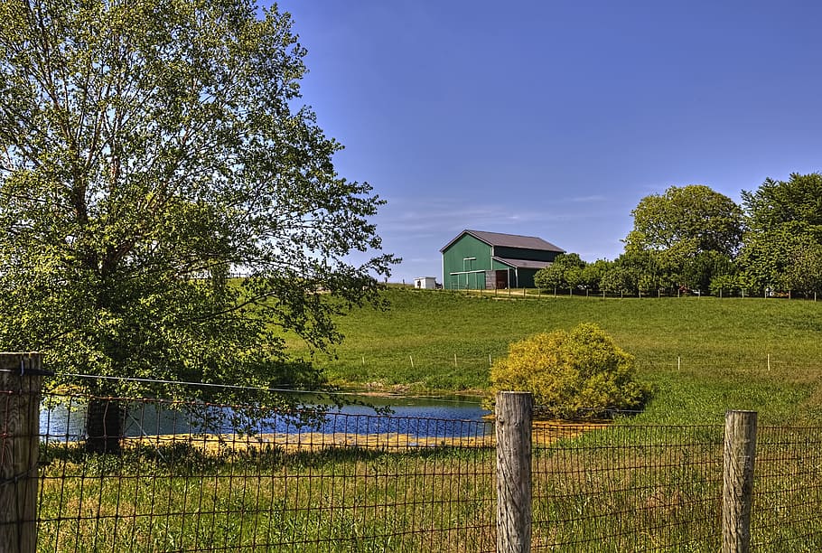 graner, rústic, graners, ohio, art digital, rural, escènic, país, camp, paisatge, cobert, coberts, granja, granges, agricultura, agrícola, Masia, campanar, comtat, americana, foto, fotografia, estructura, estructures, sturgell, William Sturgell, factura sturgell, històric, decoració de la llar, edificis, núvols, cel, arbre, arbres, ennuvolat, cels, males herbes, comtat del campanar, urbana, planta, arquitectura, estructura construïda, tanca, límit, herba, barrera, creixement, cap gent, color verd, exterior de l'edifici, naturalesa, terra, bellesa a la natura, tranquil·litat, escena tranquil·la, a l'aire lliure, 5K