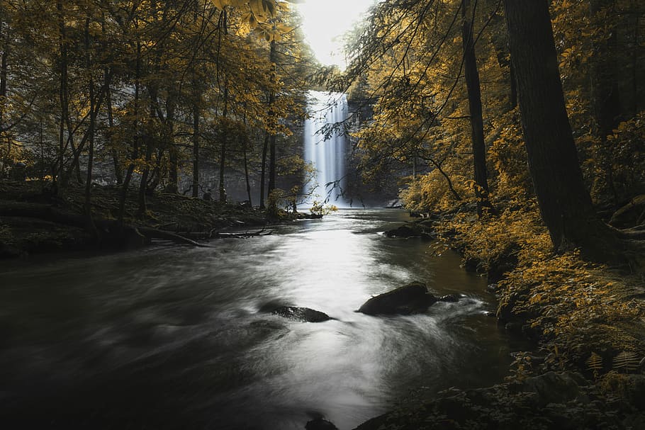 cascata, circondato, alberi, cascata e foresta, albero, foresta, lunga esposizione, lungo, esposizione, autunno, Chattanooga, Tennessee, torrente, fiume, acqua, fogliame, pianta, bellezza nella natura, natura, movimento, acqua corrente, nessuno, terra, scenics - natura, giorno, roccia, fluente, scena non urbana, lungomare, struttura costruita, architettura, all'aperto, 5K