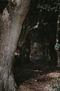 peekaboo, -, nen, amagar-se, nen petit, de peu, darrere, arbre, durant el dia, noi, tronc de l'arbre, bosc, tronc, planta, dia, naturalesa, terra, centrar-se en primer pla, un animal, a l'aire lliure, primer pla, creixement, temes d'animals, cap gent, animal, textura, mamífer, camp, 8K, CC0, domini públic, lliure de regalies