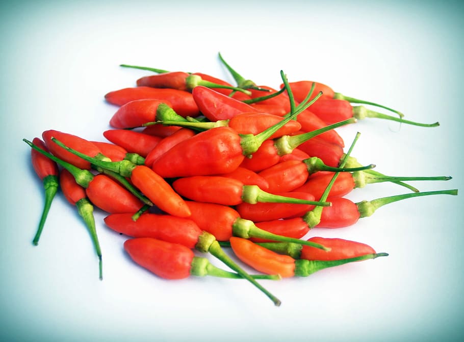 Xile, pebre, roent, Xile, pebre vermell, pebre, vermell, calenta, verd, blanc, mexicà, espècia, cuina, orgànic, planta, condiment, fons, fresc, frescor, primer pla, aïllat, madur, dos, agut, pepperoni, Caiena, estudi, pila, ardent, timbre, vegetals, macro, aromatitzant, objecte, saludable, vitamina, color, salsa, cuinar, ingredient, picant, imatge, calor, detall, menjar, capsaicina, cremant, pebrot picant, pebre - vegetal, calor - temperatura, color verd, naturalesa, alimentació saludable, cap gent, menjar vegetarià, menjar i beguda, benestar, Xile vermell, a l'interior, tir de l'estudi, natura morta, gran grup d'objectes, aliments crus, 2K