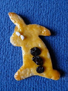Osterhase, Ostern, Osterkuchen, Hase, backen, Teig, ausstecherle, Rezept, Ofen, Plätzchen, feines Gebäck, kleine Kuchen, Keks, Rosinen, Lebensmittel, Dessert, Süßes Essen, Snack, Lebkuchen, Essen und Trinken, Frische, drinnen, Blau, keine Leute, Stillleben, Nahansicht, ungesunde Ernährung, Genuss, High Angle View, fertig für den Verzehr, gestalten, direkt darüber, Obst, Wohlbefinden, gebacken, Versuchung, 2K