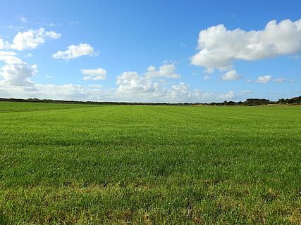 Wiese, Wolke, Gras, Landschaft, Himmel, Sommer-, Natur, Weide, Weideland, Kuhweide, Feld, Blau, ländliche Szene, draußen, Landwirtschaft, grüne Farbe, wolke - himmel, szenen, Nicht-städtische Szene, Landschaften, Land, keine Leute, Horizont über Land, Wolkengebilde, Horizont, Schönheit in der Natur, Tag, Bauernhof, Pflanze, idyllisch, einfach, Umgebung, ruhige Szene, Ruhe, Szenen - Natur, Wachstum, 4K, CC0, gemeinfrei, lizenzfrei