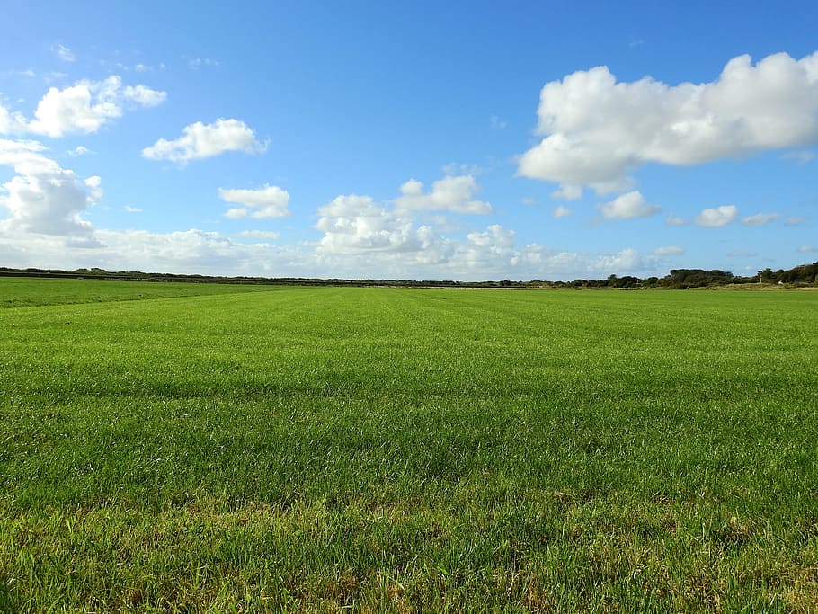 prat, núvol, herba, paisatge, cel, estiu, naturalesa, pastures, pastures de vaca, camp, blau, escena rural, a l'aire lliure, agricultura, color verd, núvol - cel, escenics, escena no urbana, paisatges, terra, cap gent, horitzó sobre la terra, cloudscape, horitzó, bellesa a la natura, dia, granja, planta, idíl·lic, plana, medi ambient, escena tranquil·la, tranquil·litat, escenics - natura, creixement, 4K