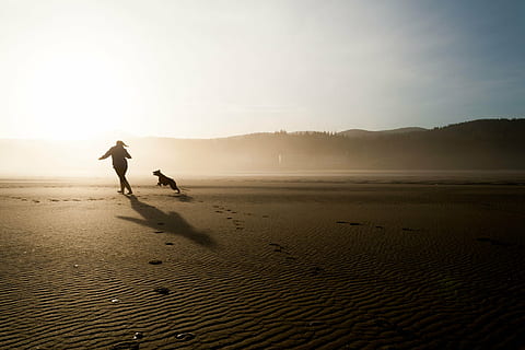 silhouette, woman, dog, running, open, field, daytime, beach, chase, play, fun, happy, joy, pet, friendship, relationship, mans best friend, outdoors, sand, healthy Lifestyle, exercising, people, nature, sport, one Person, women, jogging, lifestyles, land, sky, water, full length, sea, walking, men, leisure activity, sunlight, adult, beauty in nature, two people, holiday, motion, scenics - nature, 2K, CC0, public domain, royalty free