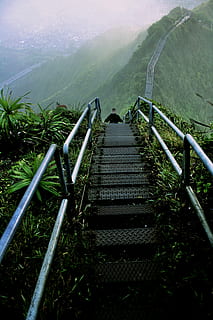 mand, gå, grå, stige, bakke, trappe, bjerg, bjergtop, sti, udforske, udforskning, vandrer, grøn, haiku trappe, rejse, vandring, hawaii, ser ned, plante, rækværk, natur, dag, skønhed i naturen, ro, rolig scene, arkitektur, ingen mennesker, høj vinkel visning, vækst, vejen frem, scenics - natur, retning, miljø, landskab, udendørs, trapper og trapper, 4K, CC0, offentligt domæne, royaltyfrie