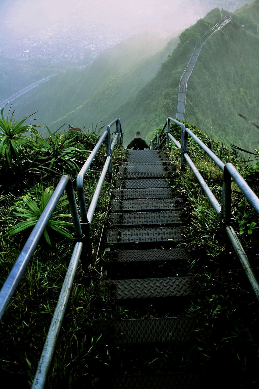 Mann, Gehen, grau, Leiter, Hügel, Berg, Bergspitze, Pfad, erkunden, Erkundung, Wanderer, Grün, Haiku-Treppe, Reise, Wandern, Hawaii, herunterschauen, Pflanze, Geländer, Natur, Tag, Schönheit in der Natur, Ruhe, Treppe, ruhige Szene, die Architektur, keine Leute, High Angle View, Wachstum, der Weg nach vorn, Szenen - Natur, Richtung, Umgebung, Landschaft, draußen, Stufen und Treppen, 4K