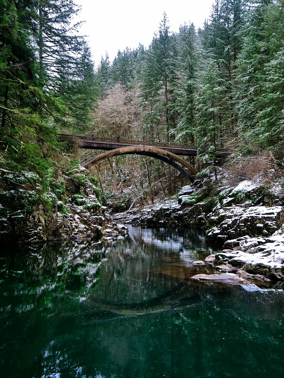 most, stromy, jezero, během dne, fotografování, hnědý, dřevěný, přes, teal vody, hora, řeka, proud, voda, strom, les, spojení, most - mužská konstrukce, rostlina, klid, Příroda, nikdo, klidné scény, odraz, den, krása v přírodě, mimoměstské scény, přistát, scenics - příroda, stavba, venku, lávka, tekoucí voda, proud - tekoucí voda, obloukový most, 5K