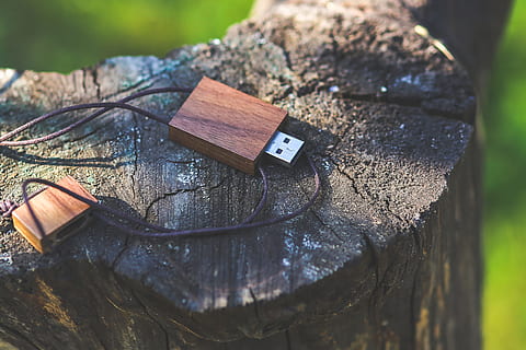 hnědý, usb flash disk, umístěny, zelená, pařez, usb, blikat, řídit, pero, dřevo, dřevěný, přírodní, vinobraní, technologie, den, dřevo - materiál, nikdo, kůra, selektivní zaměření, detail, strom, zaměřit se na popředí, Příroda, venku, stálý život, rostlina, kmen stromu, slunečního světla, kufr, vysoký úhel pohledu, studená teplota, texturou, 2K, CC0, veřejná doména, bez autorských práv