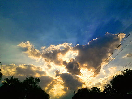 sunset, sky, florida, clouds, cloud - sky, beauty in nature, tree, plant, tranquility, tranquil scene, scenics - nature, low angle view, no people, silhouette, nature, sunlight, outdoors, idyllic, orange color, dramatic sky, growth, treetop, 2K, CC0, public domain, royalty free