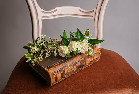 hvid, Rose, blomster, Brun, Bestil, stol, blomst, skriften, plante, blad, indendørs, plante del, grøn farve, natur, skønhed i naturen, ingen mennesker, friskhed, tæt på, offentliggørelse, vækst, blomstrende plante, stilleben, bord, studio skud, skrøbelighed, træ - materiale, blomsterhoved, 4K, CC0, offentligt domæne, royaltyfrie