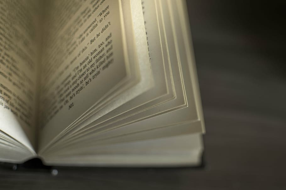 selektiv, fokus fotografering, åbnet, bibel, bøger, bord, sløret, Bestil, bogsider, slørede linjer, objekt, dagligdags genstande, ingen mennesker, tæt på, dag, åben, indendørs, offentliggørelse, uddannelse, papir, studio skud, stilleben, enkelt objekt, side, selektiv fokusering, direkte over, høj vinkel visning, læring, kunstkultur og underholdning, fokus på forgrunden, visdom, kreativitet, sort baggrund, studere, 5K