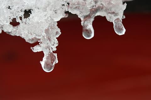 makro foto, iskrystaller, sne, is, vinter, vinterlige, dryppe, afrimning, kold, iset, Frosset, krystaller, isnende, angetaut, optøning, vand, dråbe vand, smelte, sne smelte, tæt, frost-, natur, filigran, studio skud, ingen mennesker, bevægelse, farvet baggrund, tæt på, indendørs, rød, kold temperatur, mad og drikke, dråbe, hvid farve, rød baggrund, sprøjt, forfriskning, krystal, smeltning, flyder, 5K, CC0, offentligt domæne, royaltyfrie
