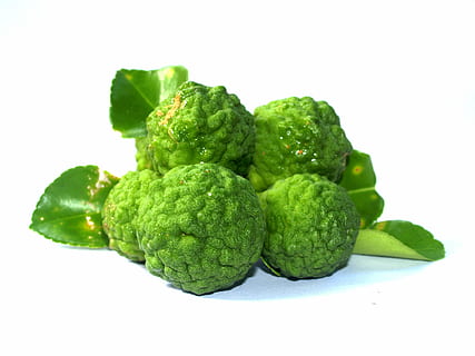 frutas verdes redondas, bergamota, Fruta, hoja, aislado, Tailandia, áspero, limón, natural, tropical, verde, herbario, orgánico, Lima, agrios, Asia, vegetal, tailandés, pelo, cocina, kaffir, hierba, ingrediente, antiguo, Fresco, comida, crudo, comida y bebida, separar, color verde, frescura, alimentación saludable, foto de estudio, bienestar, Fondo blanco, adentro, nadie, de cerca, alimentos crudos, naturaleza muerta, grupo de objetos, solo objeto, dieta, 2K, CC0, dominio público, libre de derechos