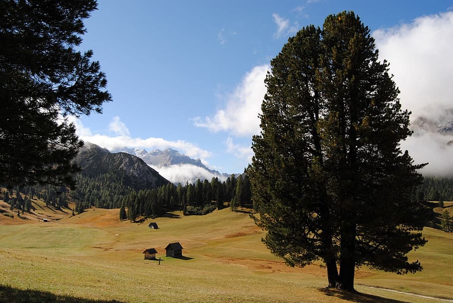 paisatge, muntanya, alpí, arbre, alpenpanorama, excursió, prato, cel, núvols, naturalesa, vista, planta, bellesa a la natura, activitat d'oci, núvol - cel, escenics - natura, dia, terra, herba, creixement, escena tranquil·la, camp, tranquil·litat, medi ambient, persones reals, escena no urbana, a l'aire lliure, 720P