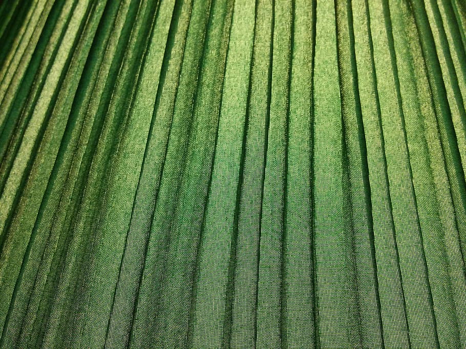 Muster, Grün, Textur, Jahrgang, geometrisch, Stoff, Linien, Streifen, retro, Textil-, Nahansicht, abstrakt, Hintergründe, Vollbild, grüne Farbe, keine Leute, Wachstum, Schönheit in der Natur, Pflanze, gestreift, Tag, natürliches Muster, Natur, texturiert, Landwirtschaft, draußen, Blatt, Land, Pflanzenteil, Baum, Palmblatt, 2K