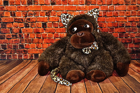 carnaval, paneel, dwaas, tijd, aap, fool-tijd, luipaardoren, grappig, bruin, hond, rood, hout - materiaal, zittend, dier, geen mensen, stenen muur, één dier, binnenshuis, detailopname, steen, muur, zoogdier, muur - bouwfunctie, huisdieren, huiselijk, portret, ontspanning, kat, 5K, CC0, publiek domein, royaltyvrij