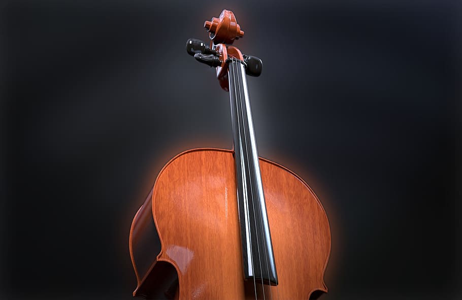 il·lustració de violoncel, violoncel, cordes, instrument de corda, fusta, instrument, música clàssica, instrument musical, marró, clàssic, cos de so, acústic, so, música, Model 3D, cultura i entreteniment artístic, equipament musical, violí, material de fusta, tir de l'estudi, cadena, corda d’instruments musicals, músic, artista, a l'interior, fons negre, primer pla, arc - equipament musical, rendiment, violoncel·lista, concert clàssic, contrabaix, 2K