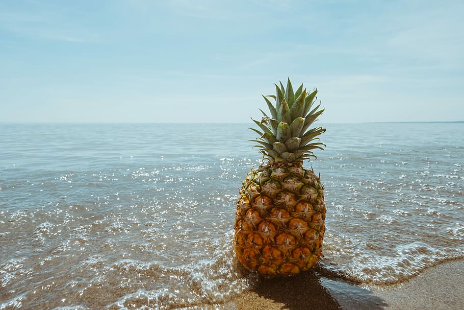 ananas frugt, kysten, ananas på stranden, ananas, strand, frugt, vand, tropisk, sand, hav, ocean, udendørs, uden for, sprudlende, klar, blå, mad, boble, himmel, jord, tropisk frugt, horisont, natur, ingen mennesker, horisont over vand, dag, sund kost, mad og drikke, skønhed i naturen, velvære, friskhed, 5K