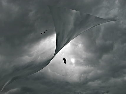 dos, dracs de vol, cloudscape, ocells, núvols, temps, gris, resum, gràfic, núvol - cel, cel, volant, ocell, temes d'animals, animal, vertebrats, a l'aire, naturalesa, bellesa a la natura, animals a la natura, vista d’angle baix, núvol, fauna animal, un animal, tempesta, aventura, dia, silueta, a l'aire lliure, llibertat, 1080P, CC0, domini públic, lliure de regalies