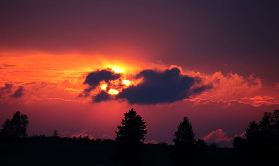Sonnenuntergang, untergehende Sonne, Sonne, abendstimmung, Nachglühen, Wolken, Landschaft, Stimmung, atmosphärisch, Dämmerung, romantisch, Abendhimmel, Baum, Silhouette, Natur, szenen, Himmel, Pflanze, wolke - himmel, Schönheit in der Natur, keine Leute, Szenen - Natur, Wald, Land, Ruhe, Umgebung, ruhige Szene, draußen, Nicht-städtische Szene, Nacht-, Scheu, Kiefer, Kiefernwald, 4K