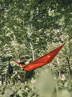 home, vermell, hamaca, envoltat, arbres, durant el dia, estirat, taronja, penjant, bosc, arbre, lectura, persona, llibre, a l'aire lliure, barba, naturalesa, fred, relaxa't, campament, full, descans, sala d'estar, jeure, masculí, jove, paio, planta, estils de vida, activitat d'oci, persones reals, una persona, dia, adult, creixement, bellesa a la natura, dones, adult jove, aigua, terra, longitud completa, esport, 5K, CC0, domini públic, lliure de regalies
