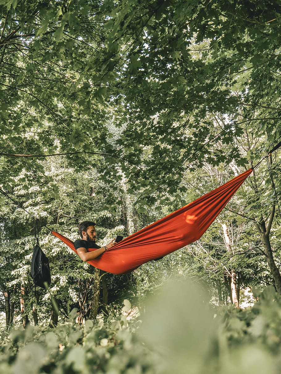 home, vermell, hamaca, envoltat, arbres, durant el dia, estirat, taronja, penjant, bosc, arbre, lectura, persona, llibre, a l'aire lliure, barba, naturalesa, fred, relaxa't, campament, full, descans, sala d'estar, jeure, masculí, jove, paio, planta, estils de vida, activitat d'oci, persones reals, una persona, dia, adult, creixement, bellesa a la natura, dones, adult jove, aigua, terra, longitud completa, esport, 5K