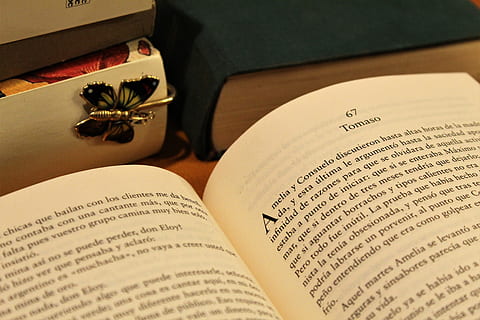 kniha zásobníku, záložka do knihy, číst, stránka, rezervovat, otevřená kniha, starý, zlato, učit se španělsky, literatura, historicky, starožitný, papír, přední a zadní obaly, text, textu, španělština, posazený, otevřeno, knihovna, vydání, nikdo, uvnitř, vzdělání, stálý život, sdělení, detail, moudrost, západní skript, stůl, rostlina, květ, vysoký úhel pohledu, jídlo a pití, antický, studovat, 5K, CC0, veřejná doména, bez autorských práv