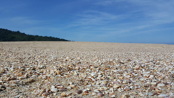 spiaggia, mar, sabbia, conchiglia, Abbracciarsi a letto, natura, Caraguatatuba, ubatuba, costa nord, cielo, la tranquillità, scena tranquilla, bellezza nella natura, scenics - natura, terra, paesaggio, giorno, ambiente, nuvola - cielo, nessuno, pianta, campo, blu, scena non urbana, roccia, solido, idilliaco, luce del sole, all'aperto, livello di superficie, ciottolo, 5K, CC0, dominio pubblico, privo di copyright