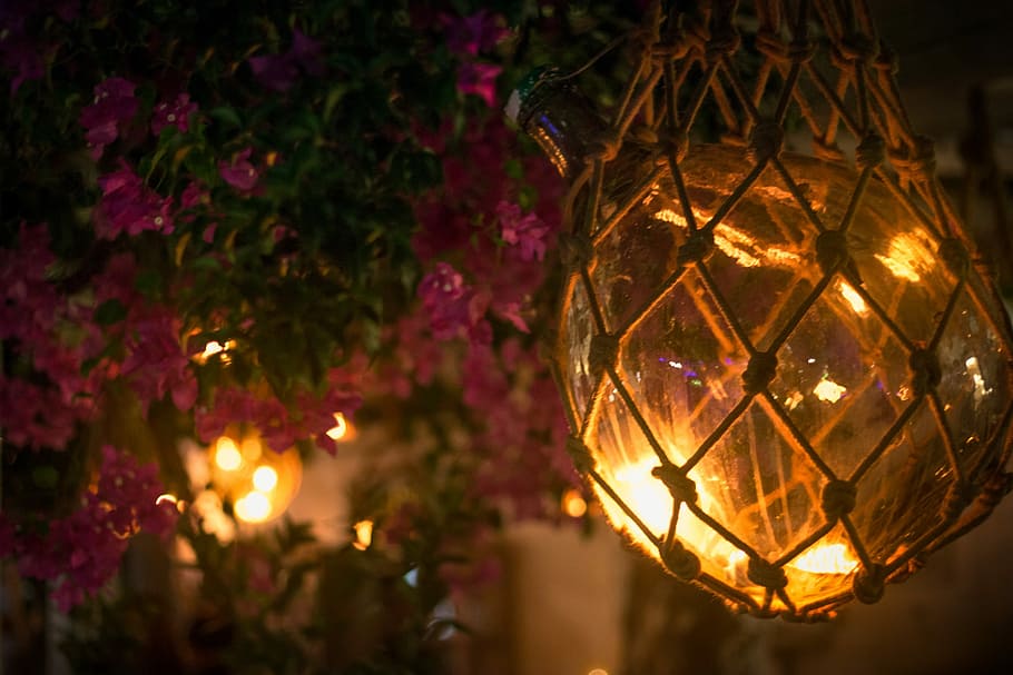 llum, brillar, flors, nit, vidre, disseny, net, rosa, retro, hipster, elidesigner, viatjar, turisme, fotografia, mediterrani, europa, il·luminat, equips d’il·luminació, penjant, celebració, Nadal, decoració, festa, decoració de Nadal, primer pla, cap gent, arbre, centrar-se en primer pla, arbre de Nadal, esfera, llanterna, brillant, adorn de Nadal, vida nocturna, llum elèctrica, luxe, 1080P