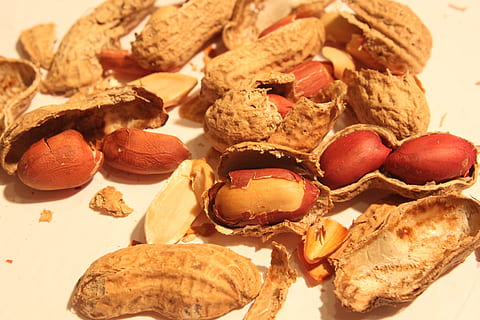 broken, peanut, roasted, shell, skin, smashed, food, drink, food and drink, still life, indoors, freshness, nut, close-up, wellbeing, healthy eating, nut - food, table, fruit, no people, high angle view, nutshell, ready-to-eat, large group of objects, brown, almond, plate, snack, temptation, 2K, CC0, public domain, royalty free