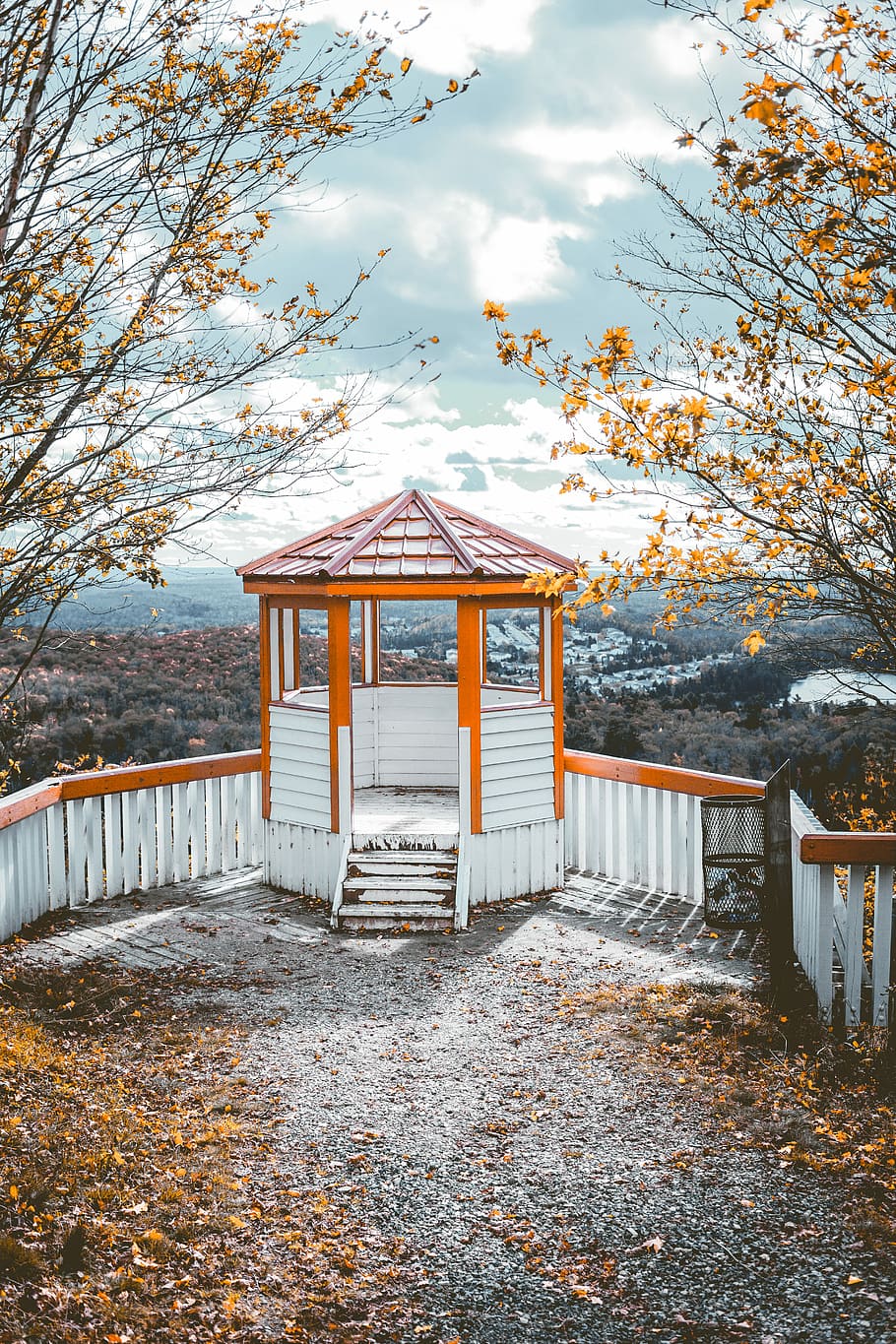 rosso, bianca, vuoto, gazebo, circondato, Marrone, secco, le foglie, arancia, di legno, superiore, collina, giorno, costruzione, balcone, cabina, albero, paesaggio, struttura costruita, architettura, autunno, pianta, natura, modificare, nessuno, esterno dell'edificio, parte vegetale, foglia, cielo, terra, colore arancione, all'aperto, legno - materiale, nuvola - cielo, bellezza nella natura, ringhiera, 5K