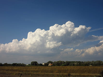 cumulus moln, stackmoln, moln, platt, fält, Italien, pittoresk, landskap, himmel, miljö, landa, moln - himmel, skönhet i naturen, växt, scenics - natur, lugn plats, landsbygden scen, lugn, lantbruk, natur, tillväxt, träd, inget folk, dag, bruka, utomhus, plantage, 4K, CC0, offentligt domän, royaltyfria