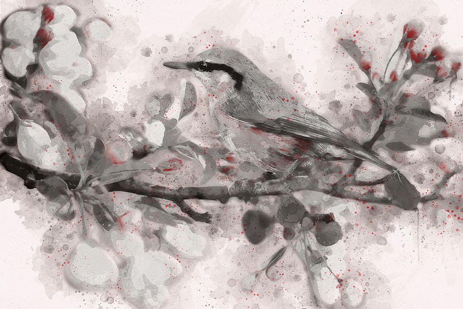 grau, Vogel, thront, Zweigmalerei, Frühlingsvogel, Frühling, Blau, blühender Baum, Natur, Ast, Baum, bunt, Jahreszeit, natürlich, Garten, blühen, Blütenblatt, digitale Kunst, digitale Zeichnung, drinnen, keine Leute, Studioaufnahme, Nahansicht, Wasser, Vollbild, Muster, Tierthemen, Wirbeltier, Hintergründe, Tier, Pflanze, texturiert, abstrakt, Schmutz, transparent, direkt darüber, 4K