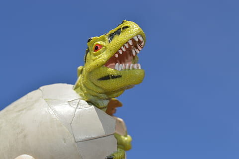 dinosauro, uovo, schiudere, cova, rettile, preistorico, giurassico, dino, estinto, lucertola, temi animali, animale, un animale, vertebrato, blu, bocca, nessuno, bocca aperta, fauna selvatica, parte del corpo animale, testa di animale, giocattolo, avvicinamento, cielo, ritratto, natura, cielo sereno, rappresentazione animale, bocca animale, sfondo blu, 5K, CC0, dominio pubblico, privo di copyright