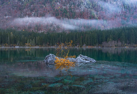foto de paisatge, cos, aigua, foto, varietat, verd, full, arbre, naturalesa, paisatge, muntanya, arbres, boira, riu, llac, tardor, caure, reflexió, animals a la natura, temes d'animals, cap gent, a l'aire lliure, nedar, davant del mar, planta, escenics - natura, escena tranquil·la, bellesa a la natura, tranquil·litat, bosc, escena no urbana, creixement, terra, idíl·lic, dia, llac de reflexió, porpra, arbre de coníferes, bosc de pi, 5K, CC0, domini públic, lliure de regalies