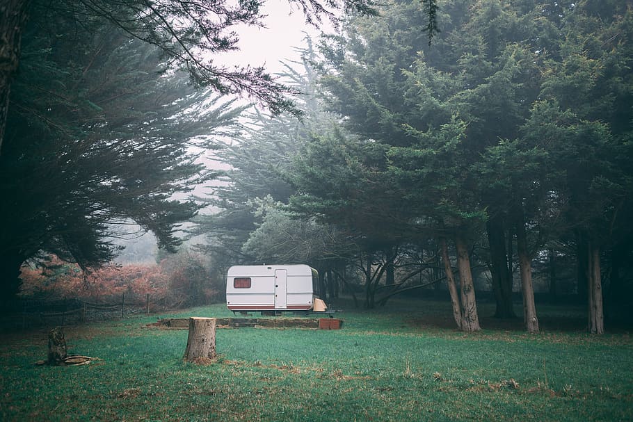 Foto, hvid, rejse trailer, grøn, bladede, træer, tåge, rv trailer, dagtimerne, campingvogn, Mark, Camping, træ, plante, natur, vækst, jord, dag, grøn farve, ro, skønhed i naturen, træstamme, bagagerum, bænk, Skov, græs, ingen mennesker, sæde, tom, fravær, udendørs, 5K