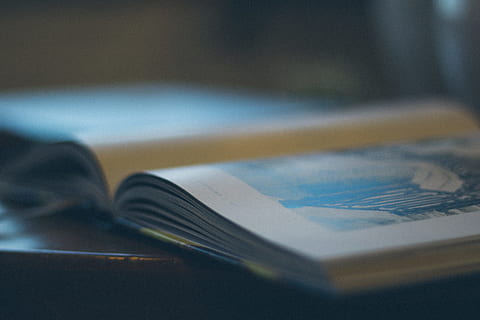 carte, citind, şcoală, studiu, educaţie, a închide, în interior, selectiv, o persoana, arta culturii și divertismentului, publicare, muzică, calculator, să se concentreze asupra primelor elemente, activitate, hârtie, tabletă digitală, camera de zi, 5K, CC0, domeniu public, fără drepturi de autor
