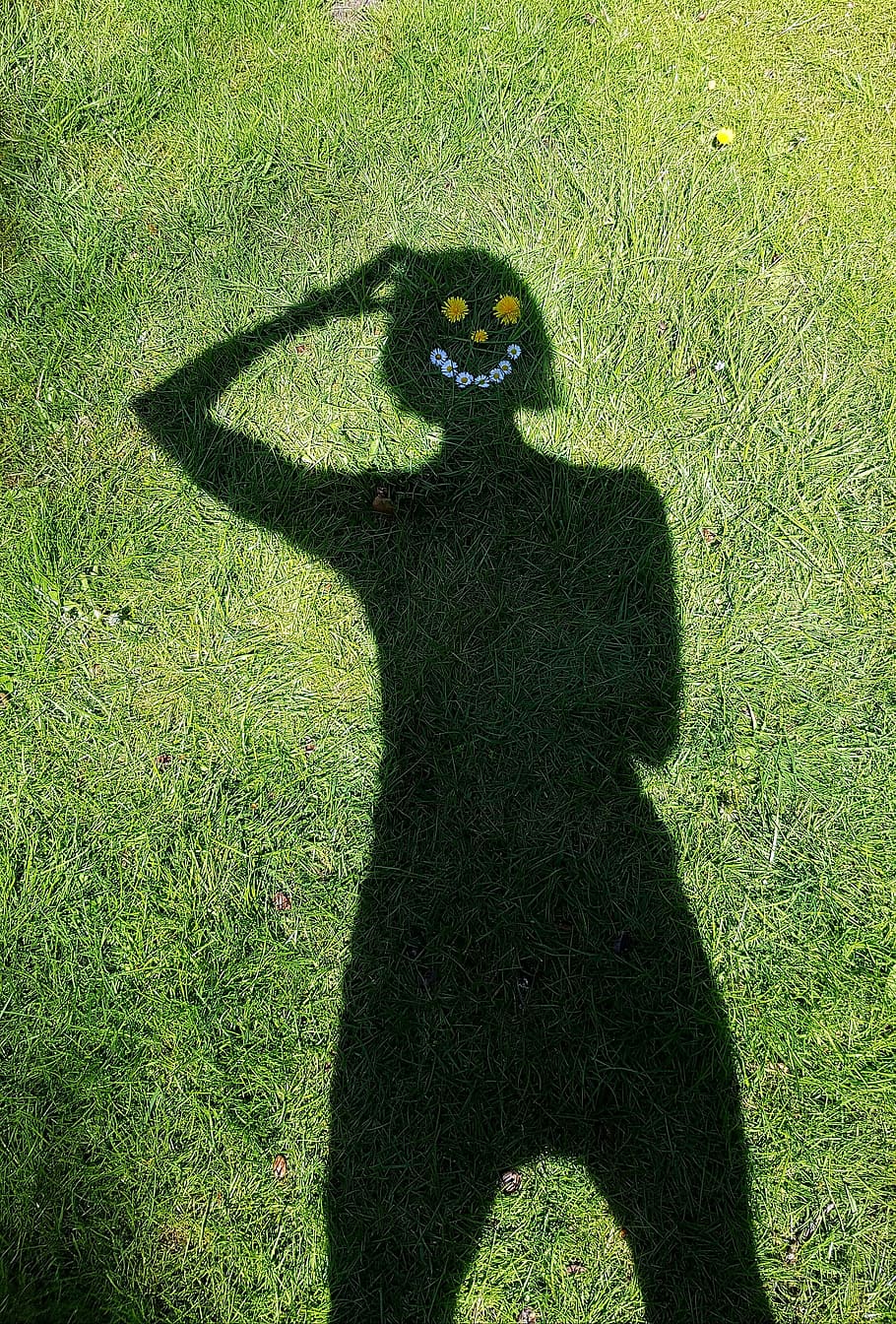 pensar, ombra, alegre, sort, consideri, pregunta, verd, humà, reflexionant, dent de lleó, margarida, diversió, riure, feliç, figura, herba, estiu, color verd, planta, llum solar, naturalesa, vista d’angle alt, camp, dia, terra, una persona, centrar-se en l'ombra, animal, persones reals, creixement, temes d'animals, mamífer, vertebrats, a l'aire lliure, 2K