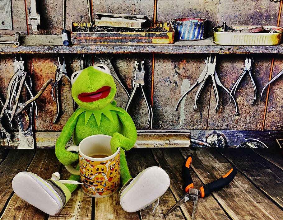 kermit, joguina de granota, taller, pausa per prendre un cafè, alicates, granota, treballar divertit, tassa, cafè, material de fusta, a l'interior, cap gent, habitació domèstica, dia, alimentació saludable, menjar, taula, contenidor, natura morta, estri de cuina, menjar i beguda, prestatge, equipament per a la llar, frescor, ampolla, gran grup d'objectes, color verd, vell, elecció, eina de treball, fruita, 4K