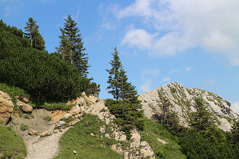 cielo appannato, roccia, nuvole, cielo, paesaggio, umore, montagna, pianta, albero, bellezza nella natura, scena tranquilla, la tranquillità, scenics - natura, crescita, giorno, nuvola - cielo, natura, scena non urbana, colore verde, nessuno, roccia - oggetto, solido, Pino, ambiente, albero di conifere, all'aperto, bosco di pini, 5K, CC0, dominio pubblico, privo di copyright