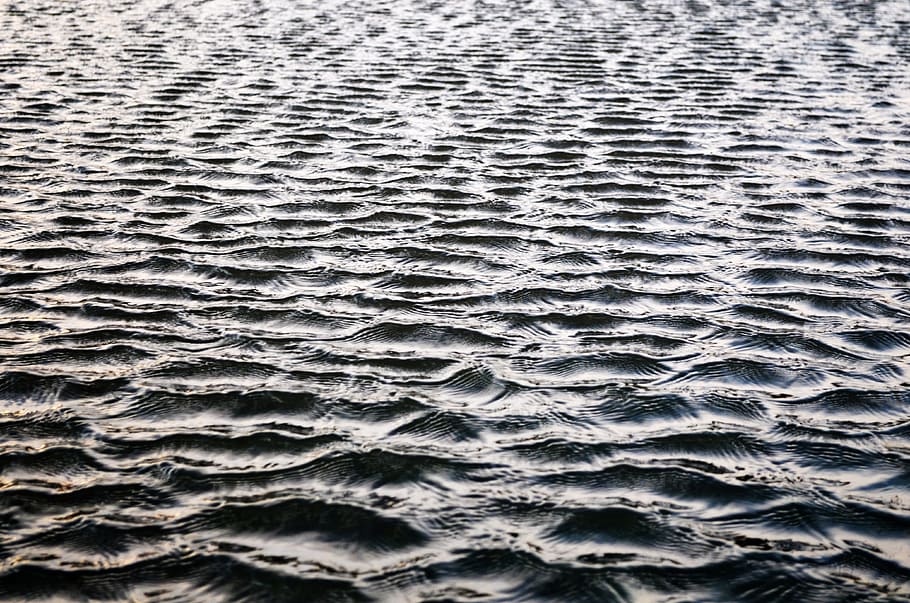 fundo, água, ondas, agua, ondas, cinzento, fluindo, flui, corrente, rio, líquido, Sombrio, brilhante, padrões, superfície, lago, origens, quadro completo, abstrato, padronizar, texturizado, fundos abstratos, ninguém, natureza, beleza na natureza, dia, mar, ondulado, fechar-se, padrão natural, ao ar livre, areia, terra, de praia, visão de alto ângulo, padrão de onda, 4K