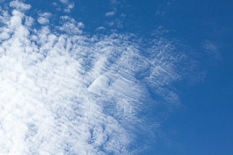 云, 白色，天空, 天空，蓝天, 蓝色, 白色, 天空, 蓝天, cloudformation, 云 - 天空, 背景, 自然, 天气, 自然之美, 风景 - 自然, 没有人, 白天, 云景, 宁静, 低角度视图, 宁静的场景, 户外, 全画幅, 田园, 气象, 环境, 4K, 免版税, CC0, 公共领域