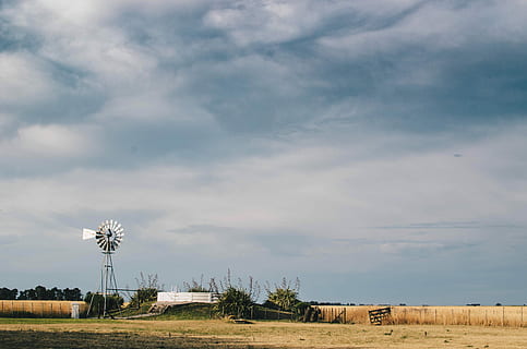 white, windmill, farm, wind vane, trees, cloudy, sky, cloud, landscape, grass, cloud - sky, environment, land, field, tree, plant, renewable energy, nature, environmental conservation, fuel and power generation, day, scenics - nature, beauty in nature, no people, wind turbine, alternative energy, turbine, wind power, outdoors, 4K, CC0, public domain, royalty free