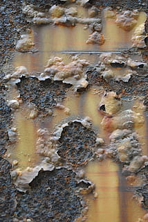 texture, rouille, marron, Orange, peinture écaillée, grand groupe d'animaux, animaux à l'état sauvage, insecte, la faune des animaux, colonie, thèmes animaux, ruche, abeille, apiculture, nid d'abeille, plein cadre, arrière-plans, fermer, métal, altéré, journée, texturé, personne, endommagé, rouillé, déclin, vieux, en plein air, construction de murs, détérioration, modèle, fatigué, la nature, décollement, structure construite, 4K, CC0, domaine public, libre de droits