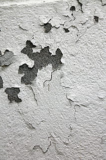 esquerdat, blanc, pintura de paret, fons, vell, envellit, paret, pintura antiga, fons de grunge, gastat, textura, brut, aspre, funció de construcció de parets, resum, resistent, patró, espatllat, descamació, estructura construïda, arquitectura, pelat, marc complet, cap gent, primer pla, exterior de l'edifici, aixafar, mal estat, Color blanc, pintura, deteriorament, a l'aire lliure, 4K, CC0, domini públic, lliure de regalies