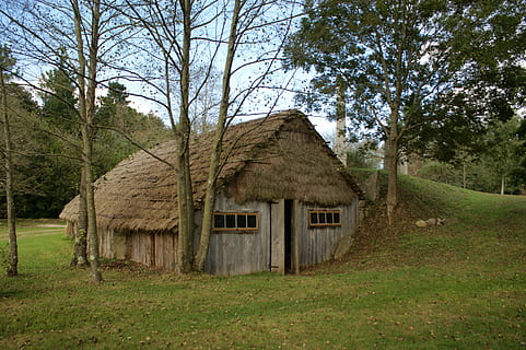 Haus, Heuhaufen, Holz, Baum, Pflanze, die Architektur, gebaute Struktur, Gras, Gebäudehülle, Gebäude, Land, Natur, keine Leute, Feld, Tag, Landschaft, Wachstum, Holz - Material, Ruhe, verlassen, Himmel, Hütte, draußen, 4K, CC0, gemeinfrei, lizenzfrei